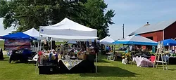 rhubarb fest2 (1).webp