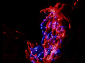 A brief Intro to Greatwall Kinase…The King of Mitosis