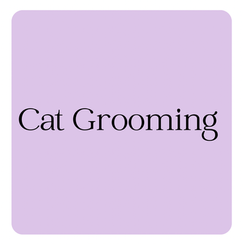 Cat grooming