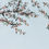 Thumbnail: fruit mural