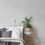 Thumbnail: concrete and limewash wallpaper