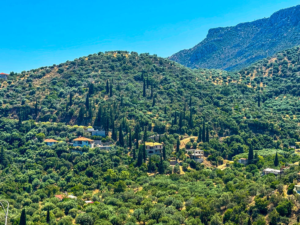 The scenic route through Arcadia doesn't disappoint. There is something so peaceful about exploring the quiet mountain roads just outside Pragmateftis.