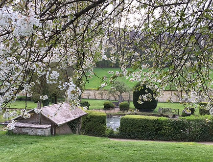 JARDIN VERGER - copie 2.jpg