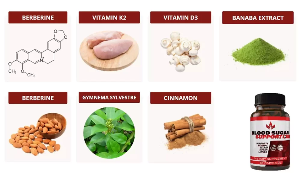 Blood Sugar Support Plus Review