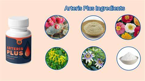 Arteris Plus Review