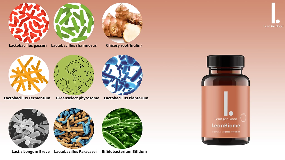 LeanBiome Review