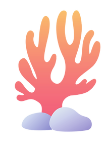 CORAL_NO BACKGROUND.png