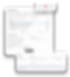 Flag.png