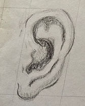 ear