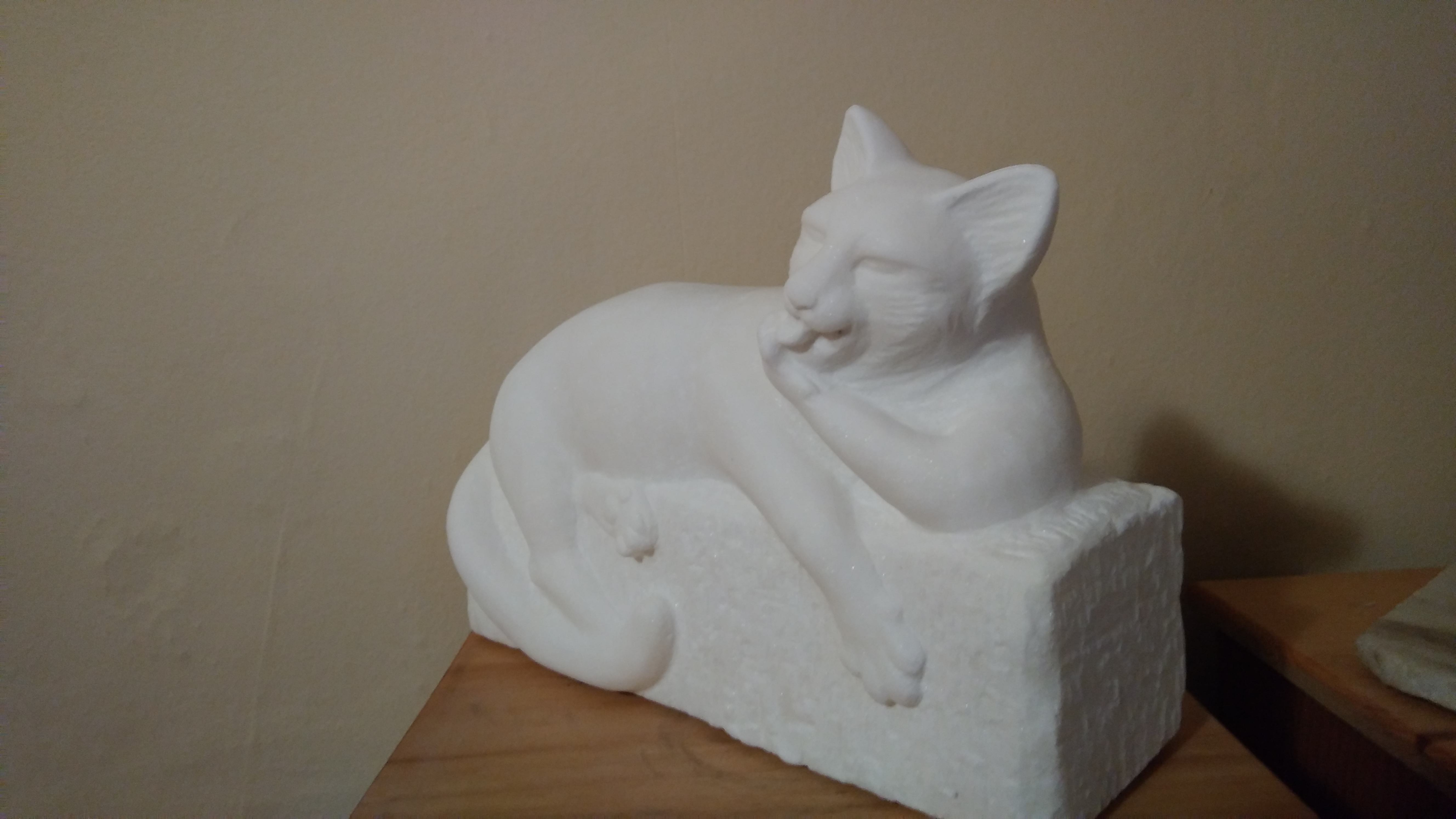 Cat grooming on wall