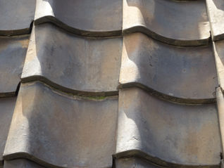 屋根の点検の味方ペガサスロッド！