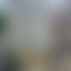 GraceNo.001｜正面だけでもグッと変わる。淡い緑で“魅せる”ビルに