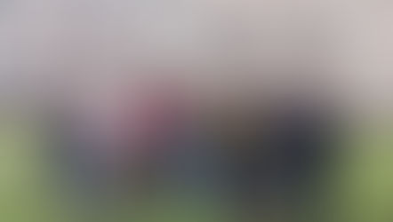 Висадка дерев до Міжнародного дня студента в Кам`янському енергетичному фаховому коледжі