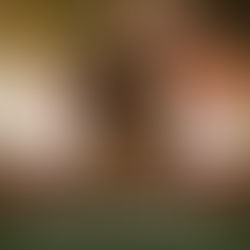 Wesak free live webinar