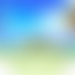 Swim with Whales Retreat in Mo’orea, Tahiti