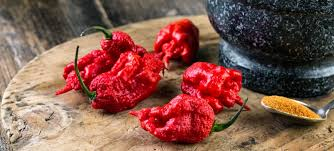 Cabai Terpedas Di Dunia