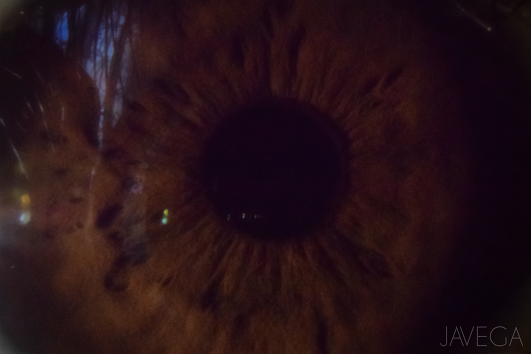 Experimental 1
