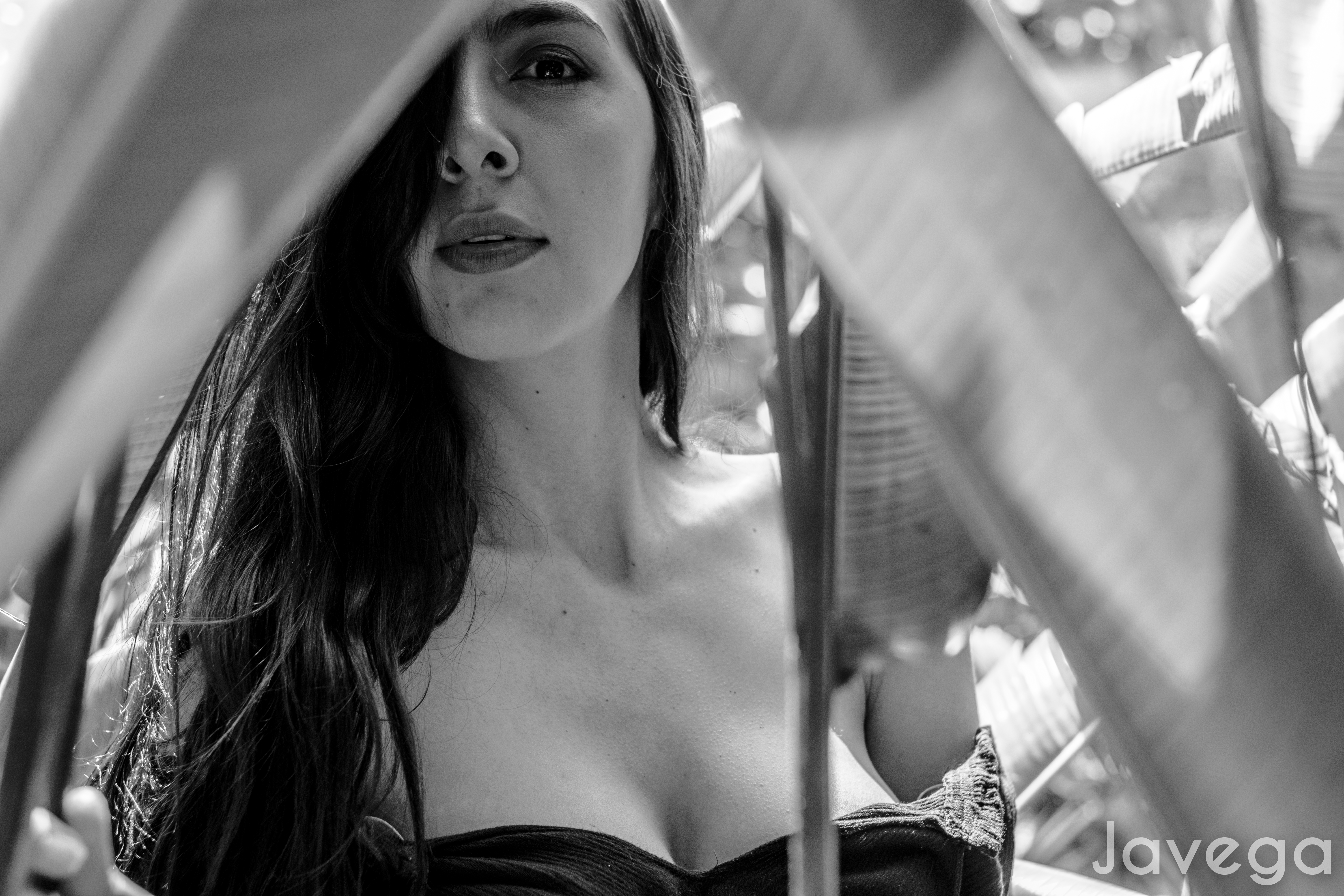 Retratos 5