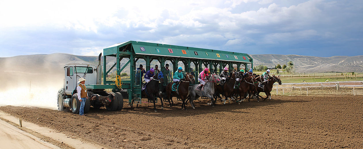 Live Racing Image2.jpg