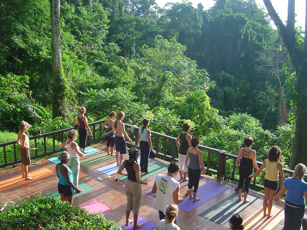 Yoga Retreats