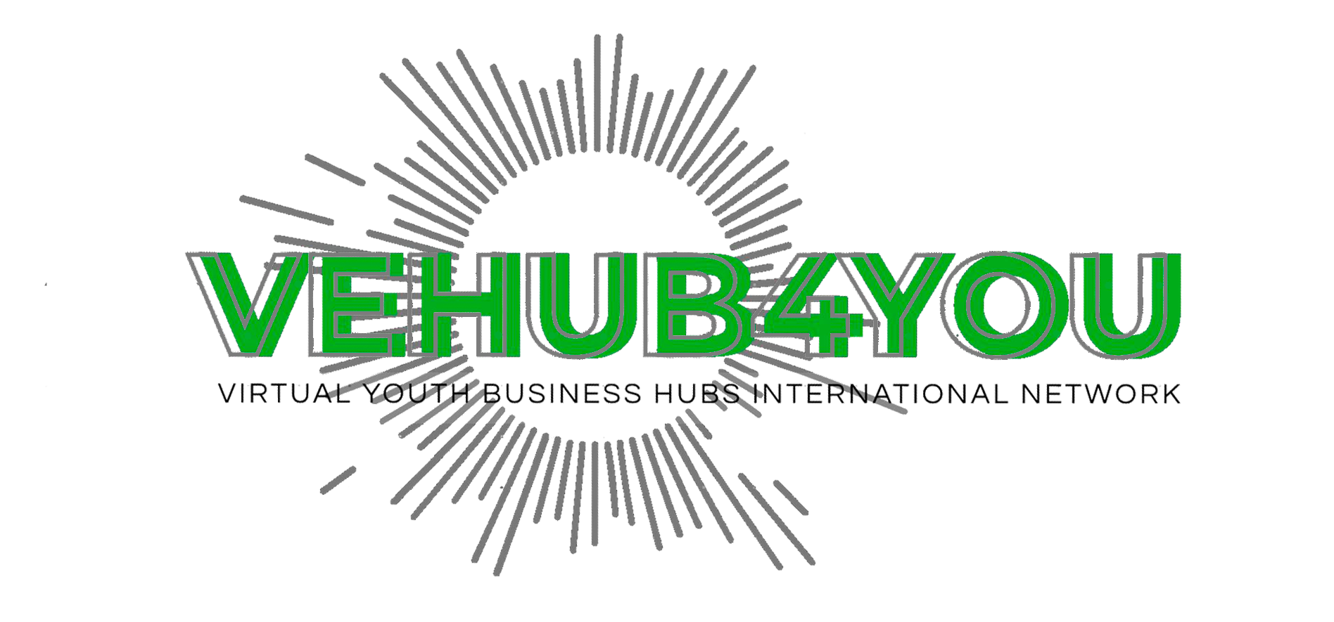 VEHUB4YOU