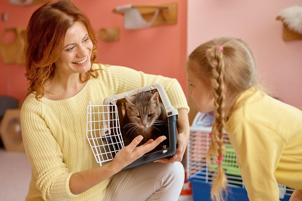 woman showing a child a new kitten for adoption.jpg