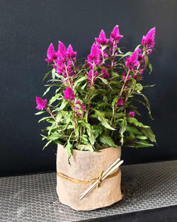 Cache pot toile de jute
