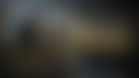 Il libro 'Guida Completa al Castello di Hogwarts' ora disponibile gratuitamente online