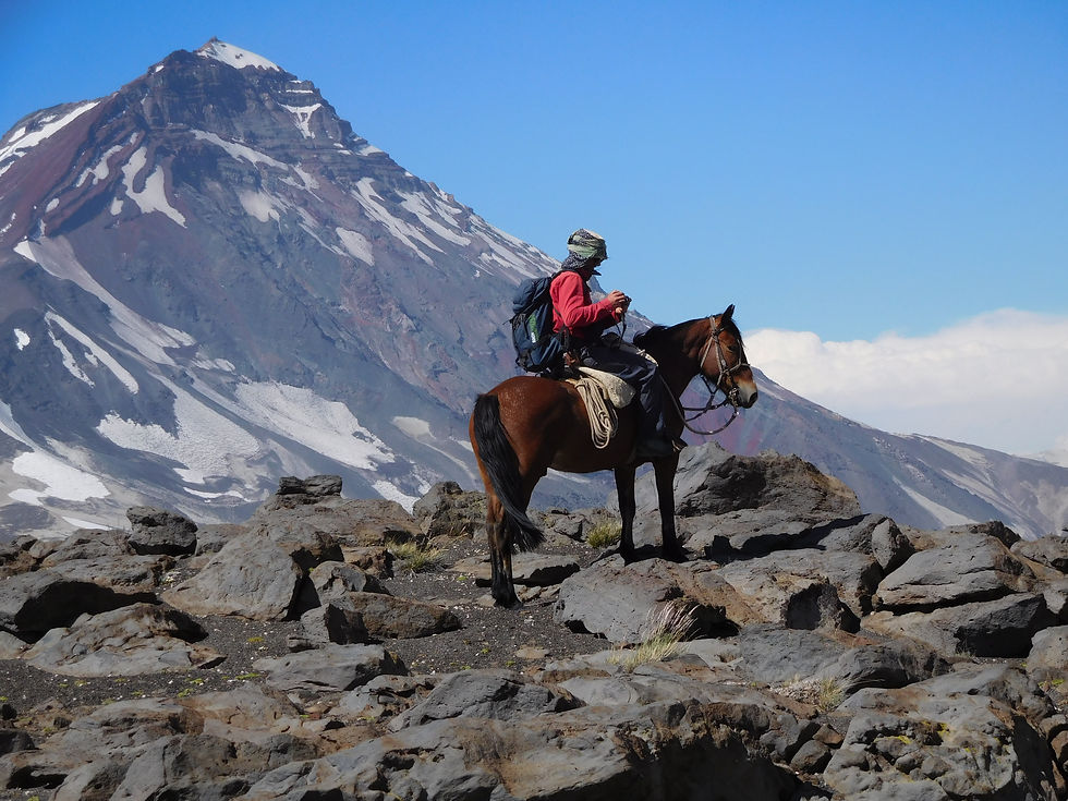 Horseback Riding the Andes