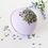 Thumbnail: Lavender and Cedar Bath Bomb
