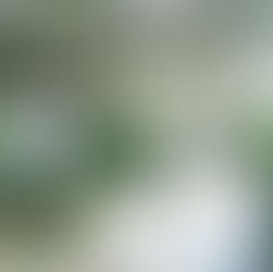 Bride in white dress holding bouquet under large tree, surrounded by lush garden, with elegant iron gate in the background. Peaceful mood.