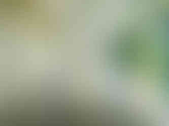 What's Included When You Hire a Professional Wedding Photographer