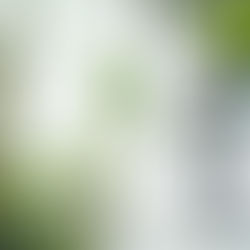 couple portraits Sully Mansion porch