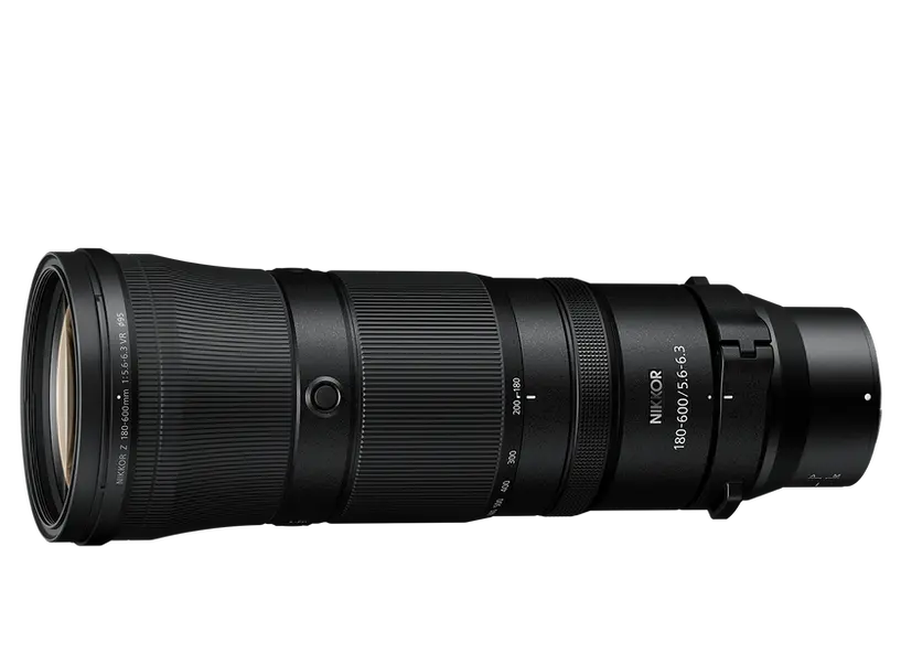Super Telephoto Lens, Bird & Wildlife Photography, Deoghar, Ranjan KM's Photography, Jharkhand