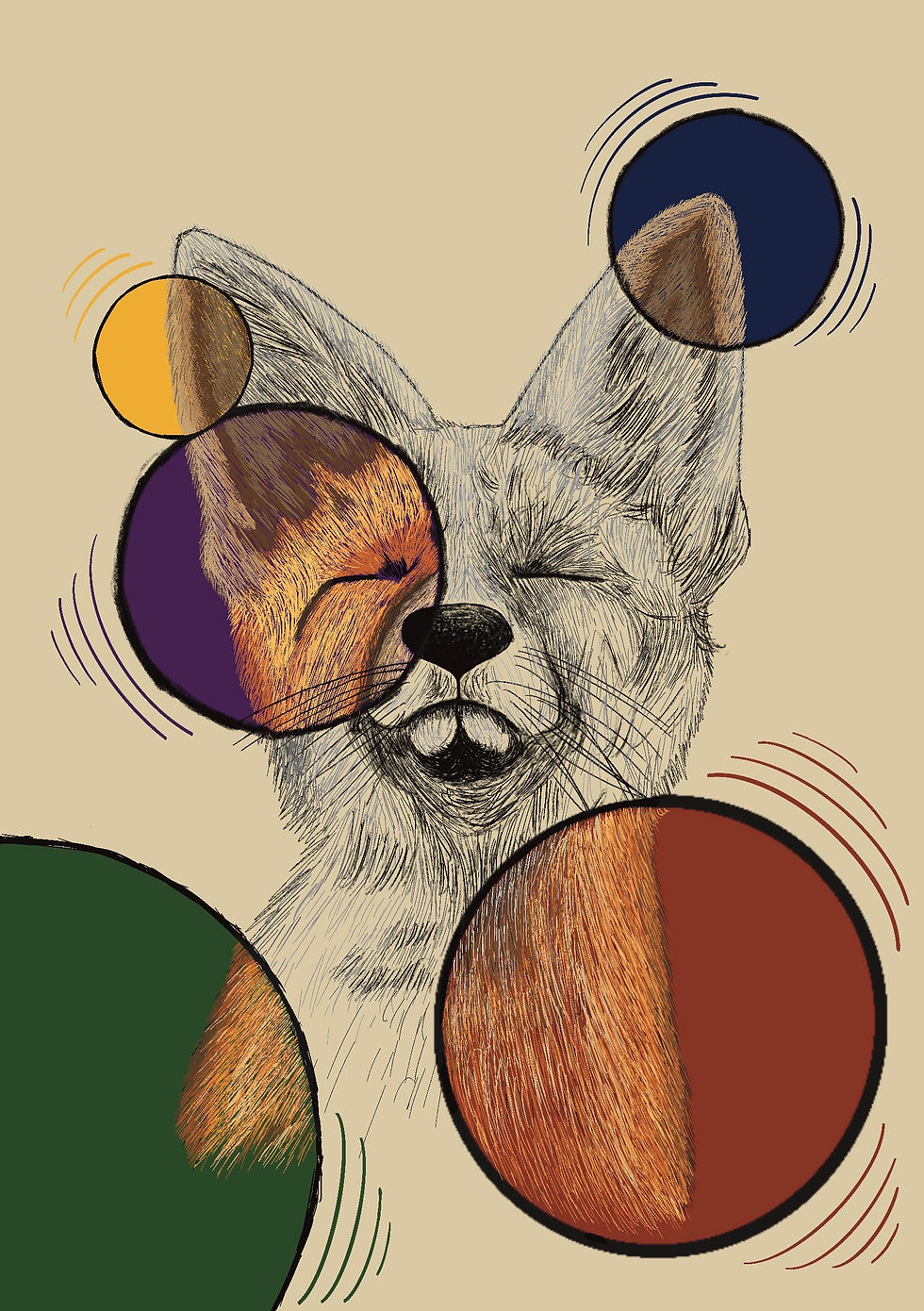Fox; circles of colour