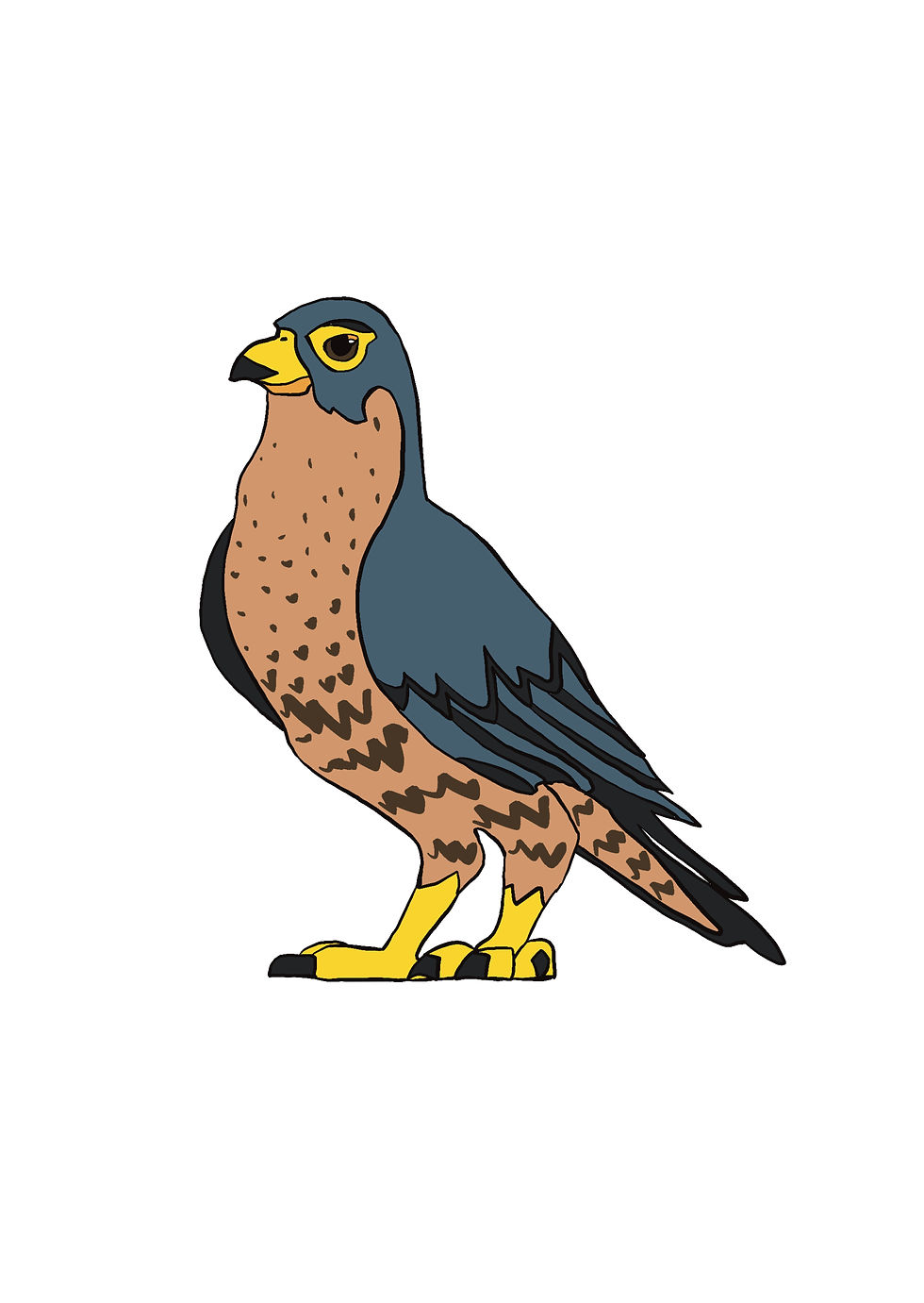 Falcon