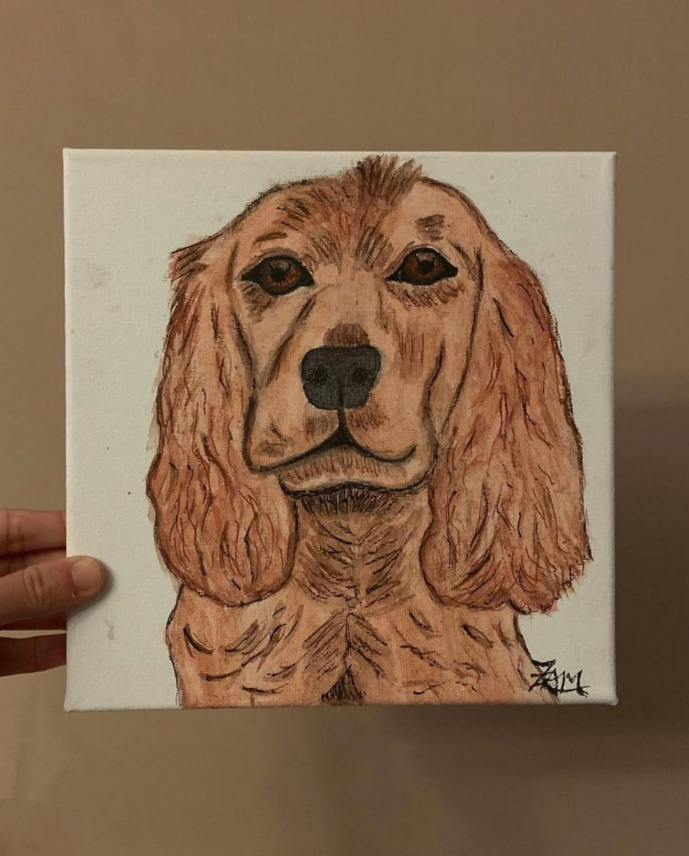 Cocker Spaniel