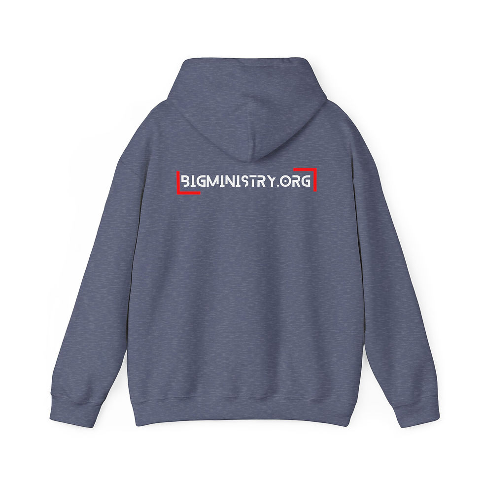 Thumbnail: Adult Hoodie | "BiG Acronym"