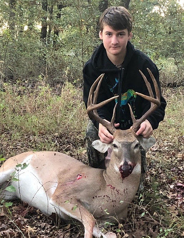 Deer