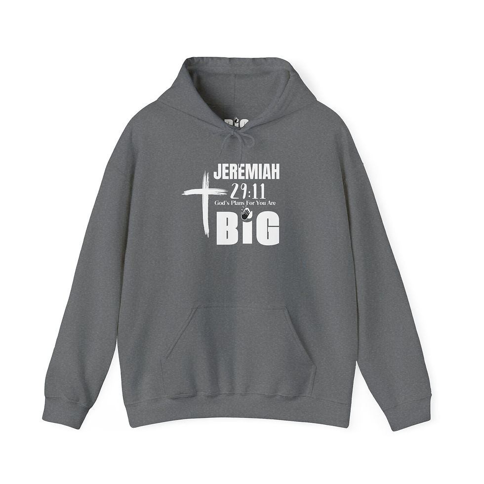 Thumbnail: Adult Hoodie | Jeremiah 29:11 "God's Plans For You Are BiG"