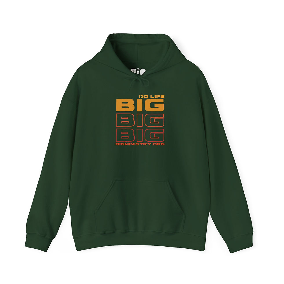 Thumbnail: Adult Hoodie | "Do Life BiG"