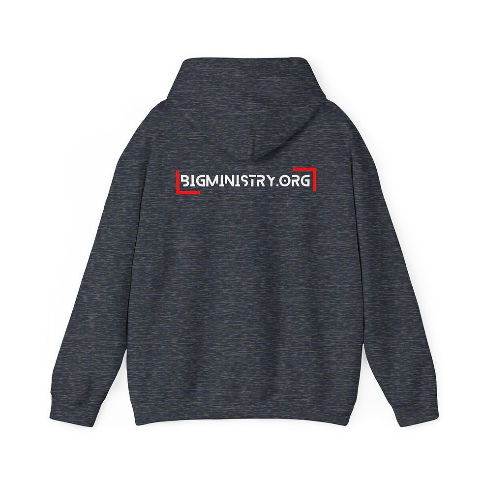 Thumbnail: Adult Hoodie | "BiG Acronym"