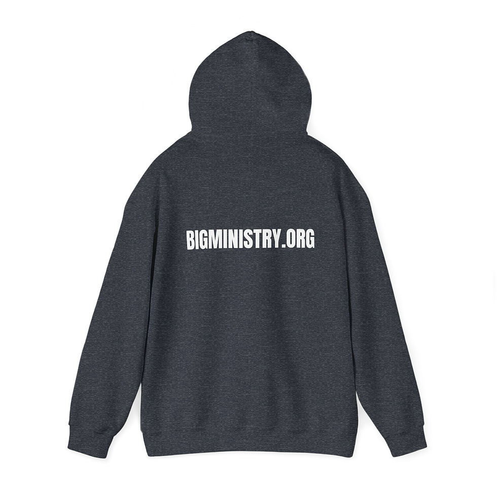Thumbnail: Adult Hoodie | Jeremiah 29:11 "God's Plans For You Are BiG"
