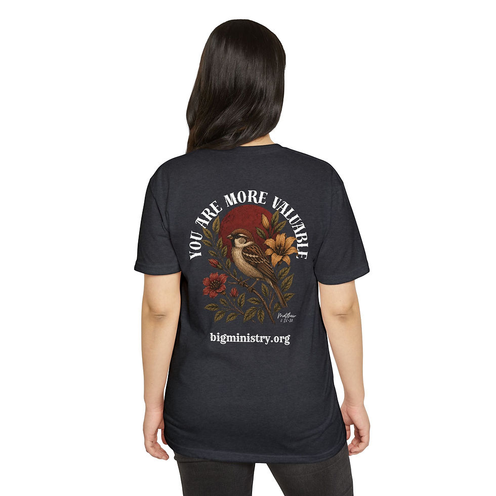 Thumbnail: Adult T-Shirt | You Are More Valuable