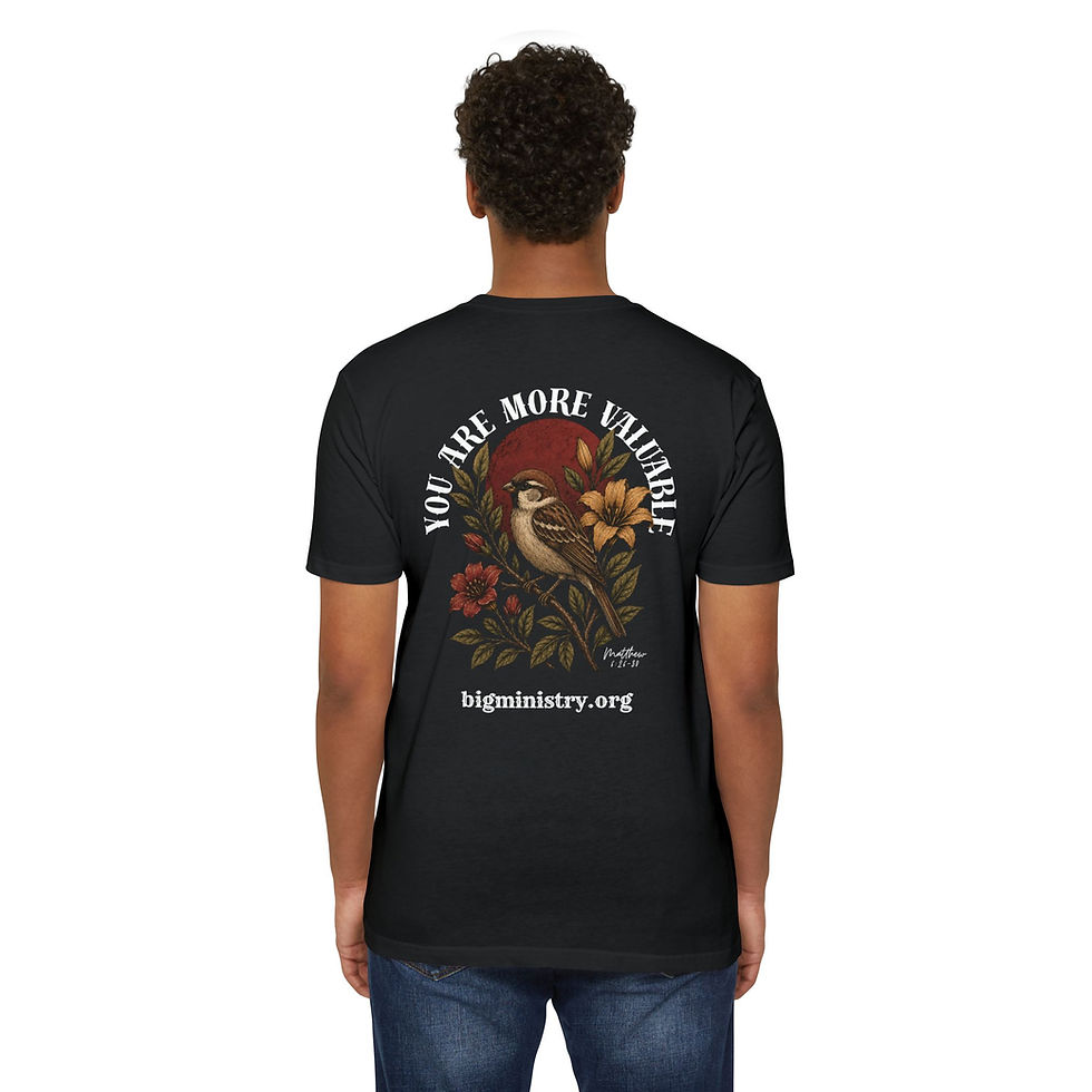 Thumbnail: Adult T-Shirt | You Are More Valuable
