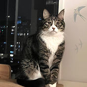 IMG_6156 2_edited.jpg