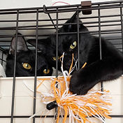 IMG_6156 2_edited.jpg