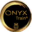 ONYXTrain(2).png