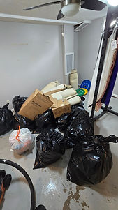 20260824_080037.jpg