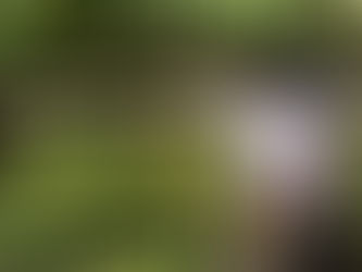 揃って作業しています